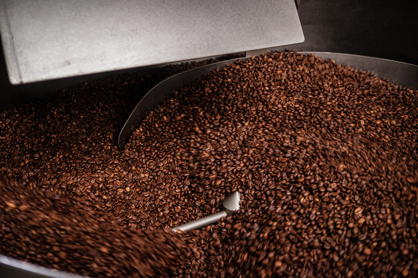Arabica koffiebonen — vers gebrand bij Calor Koffie, droog en medium roast